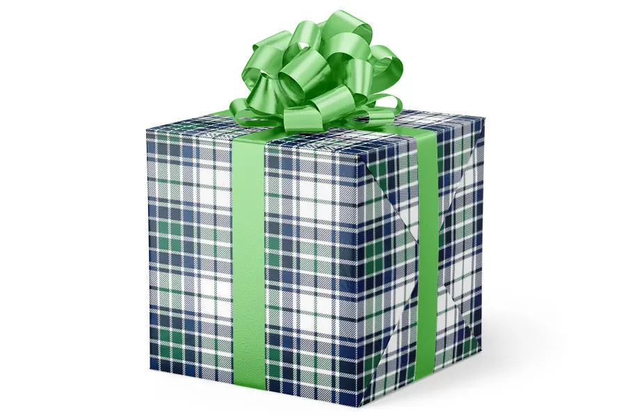 24X417 VAL-509 BLUE/GREEN PLAID 50#